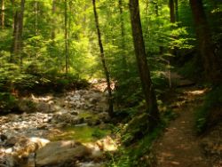 2013-07-20_Regina-F-Rau_Kochel-Rabenkopf (082).JPG